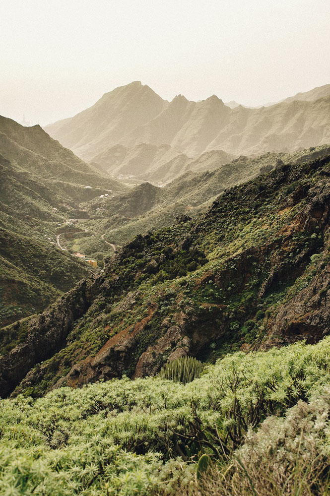 Tenerife Landscape