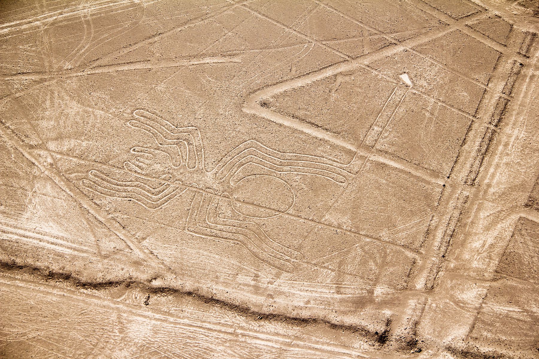 An aerial view of the Nazca Lines