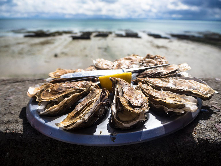 Fresh oysters by the sea