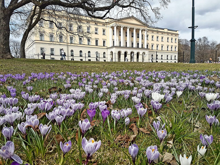 the royal palace oslo