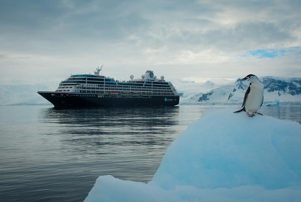 A penguin perches on an iceberg with the Azamara Quest cruise ship in the background in Antarctica.