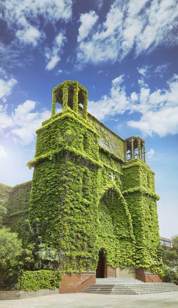 The Church of Jesus in the Garden of Olives in Olivos completely covered in Ivy