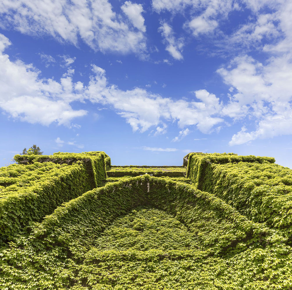 the Church of Jesus in the Garden of Olives in Olivos covered in ivy