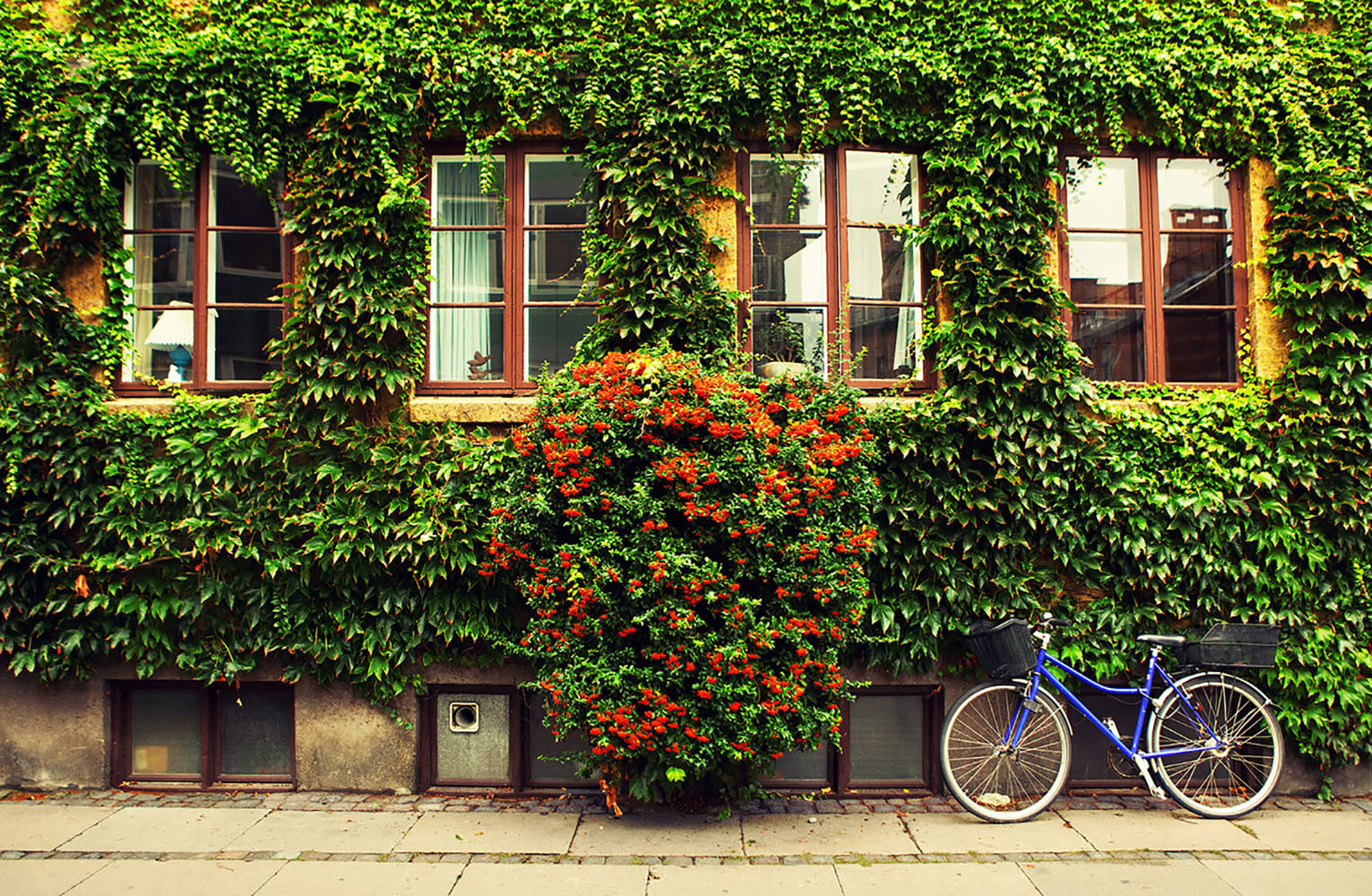 Want to keep fit on vacation? Hop on a bike!