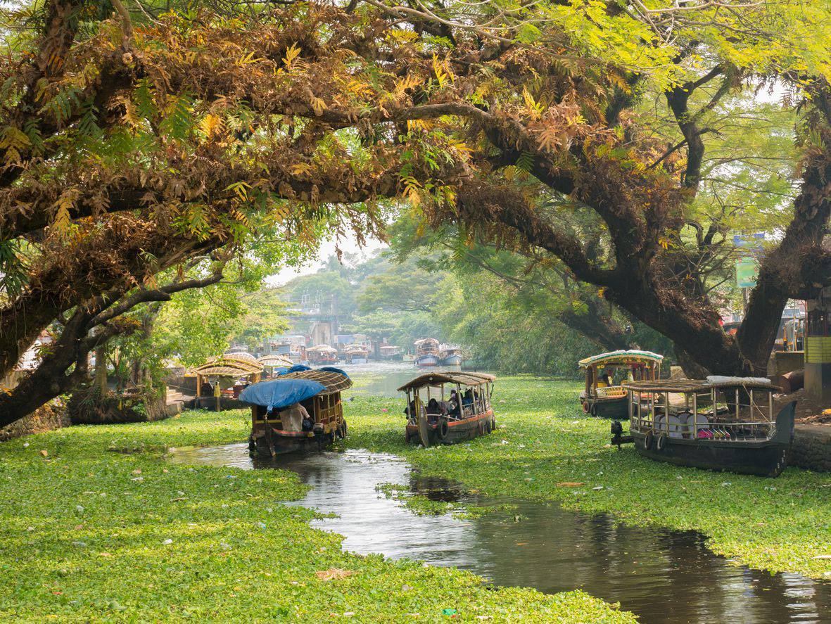 Houseboats on the backwaters of Kerala in Alappuzha