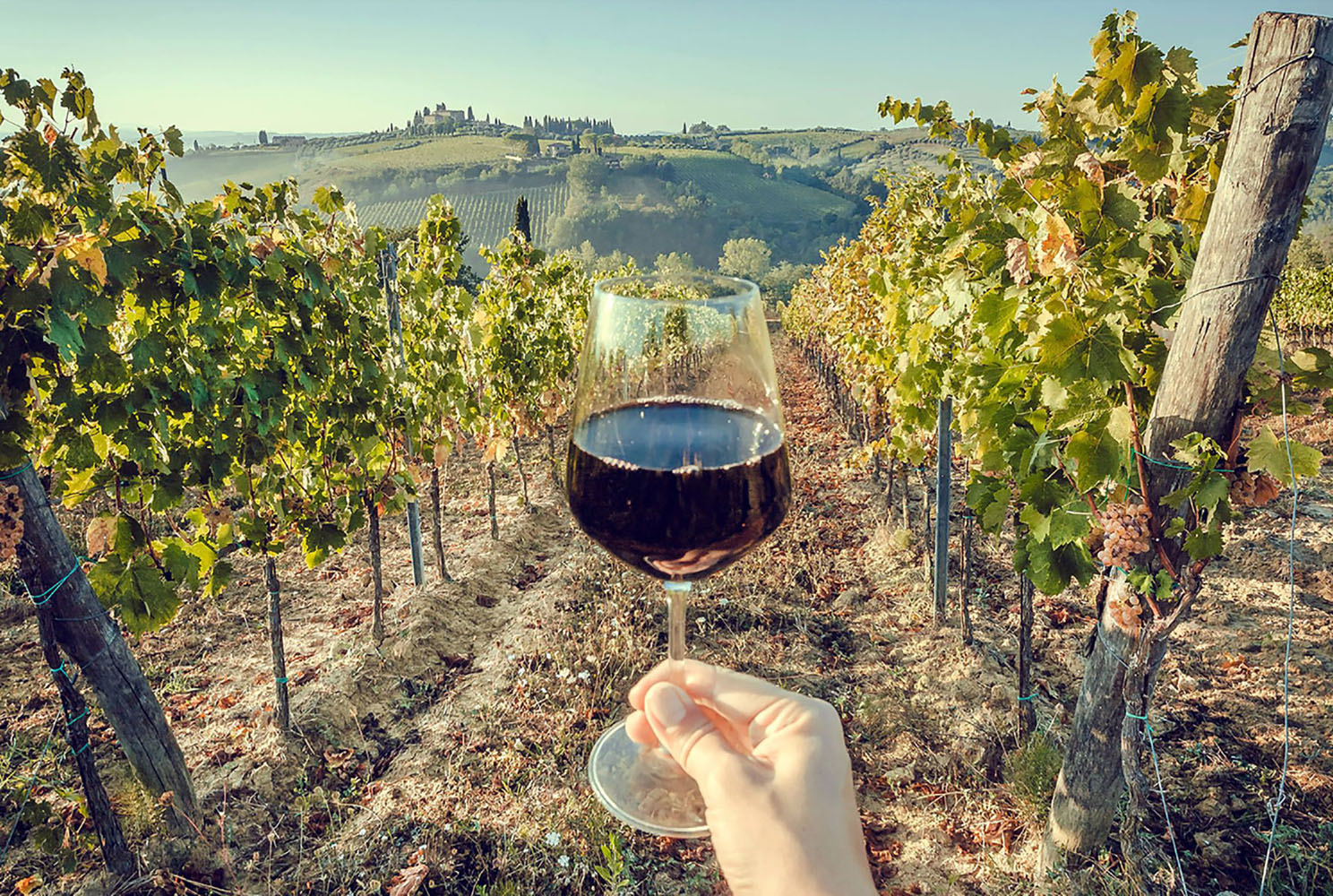 A tourist holds a glass of wine in hand in Tuscany, with green valley of grapes as the background