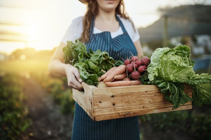 A woman carrying a box of food