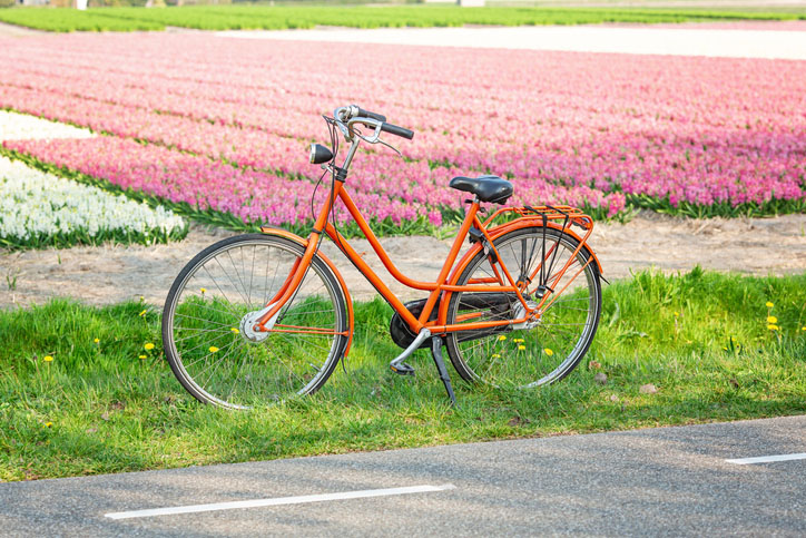 Orange bicycle next to a field of hyacinths.
