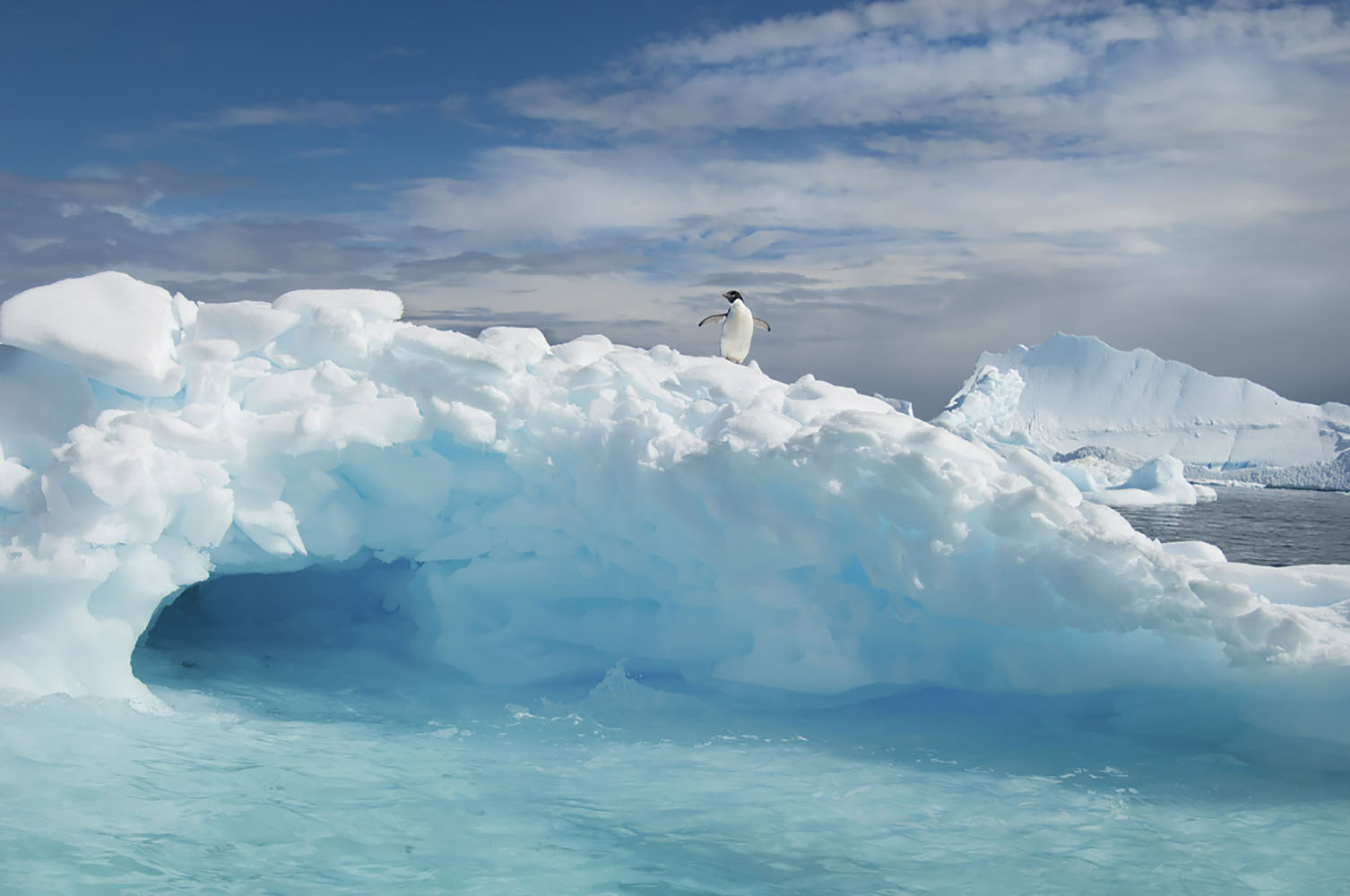A penguin is perched on an iceberg in Antarctica.