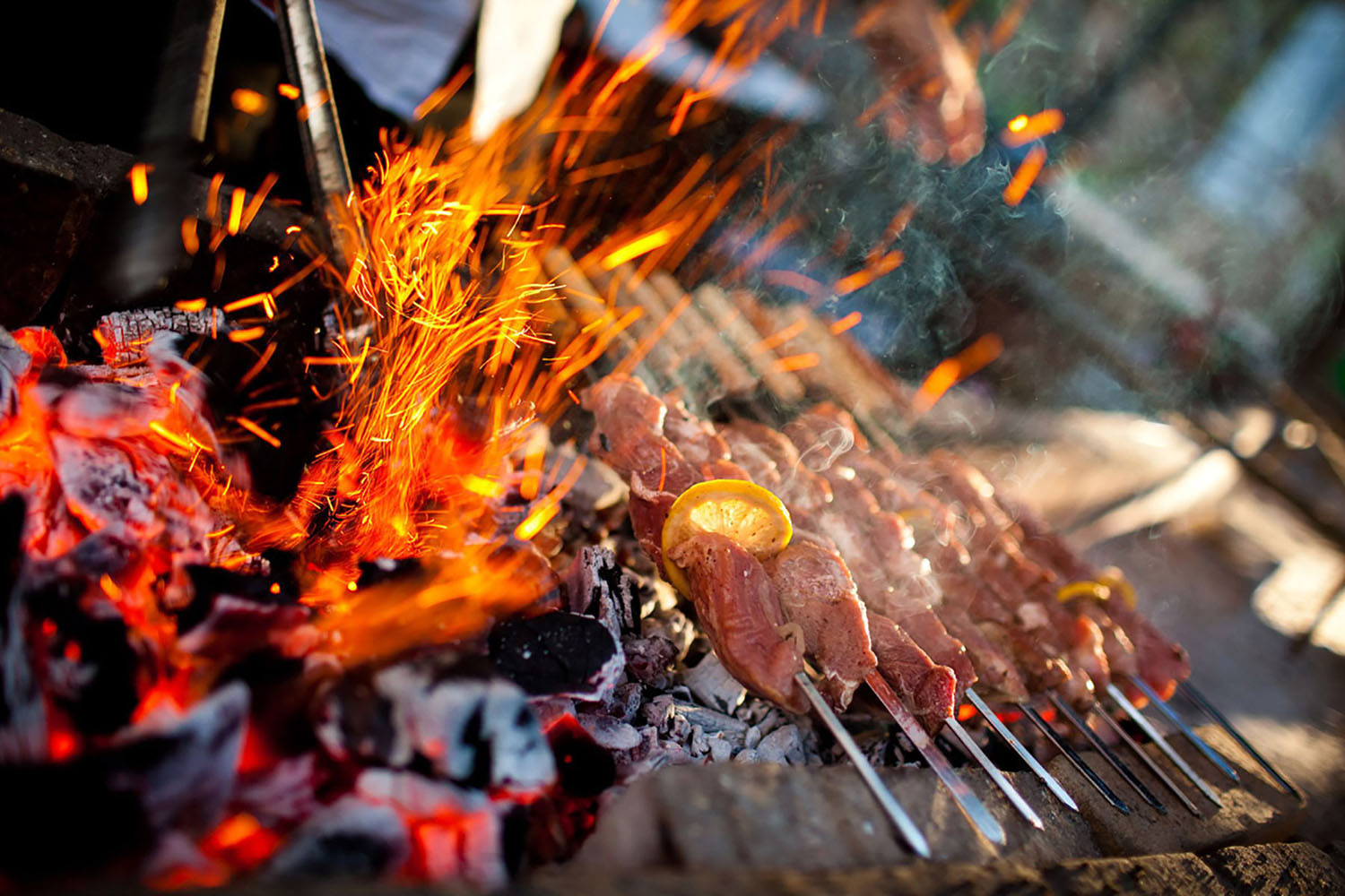 Food cooked on a grill in a maquis