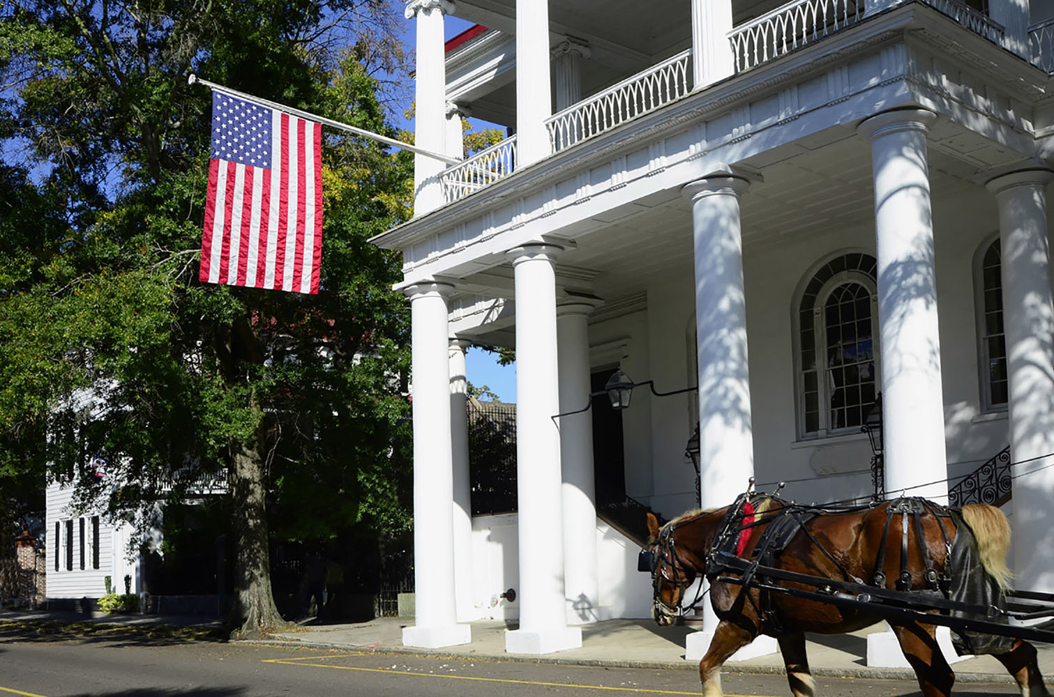 A horse-drawn carriage makes its way through Charleston, South Carolina