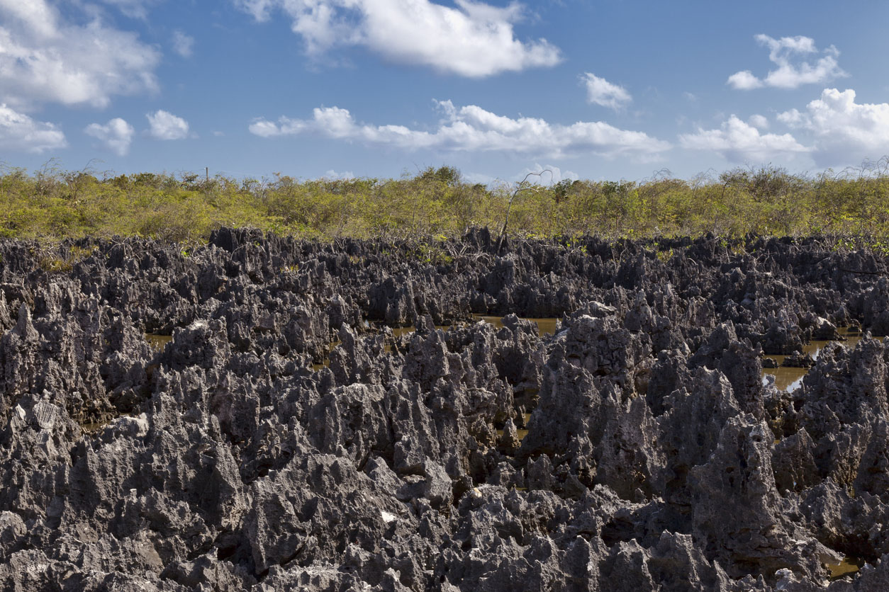 Volcanic rock in the town of Hell in Grand Cayman Island