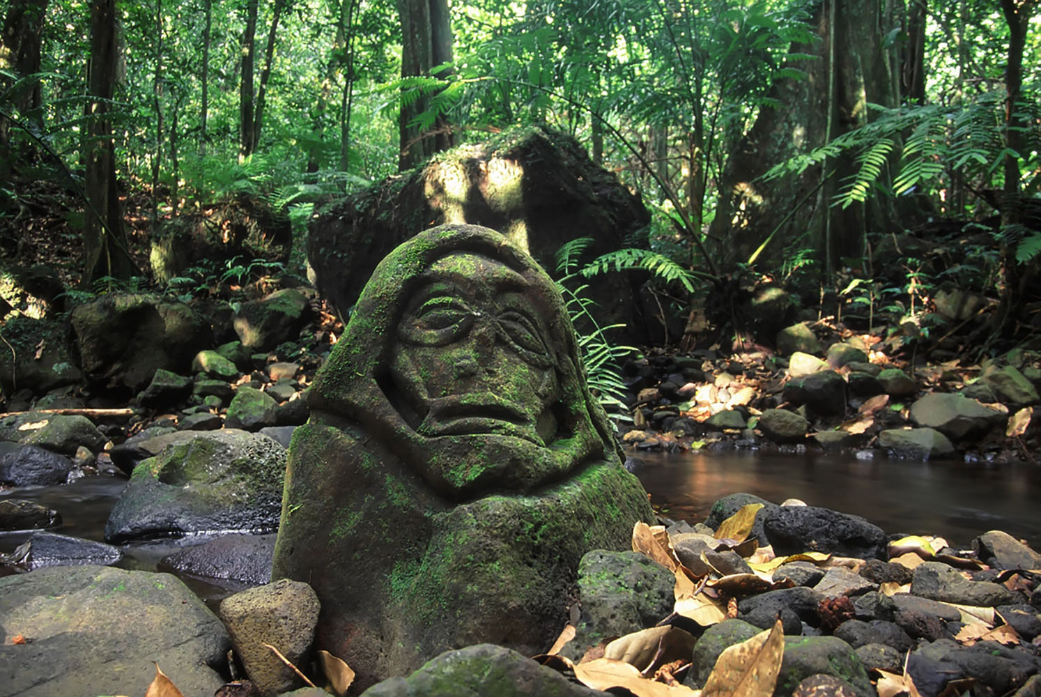 An indigenous carving in Moorea, French Polynesia