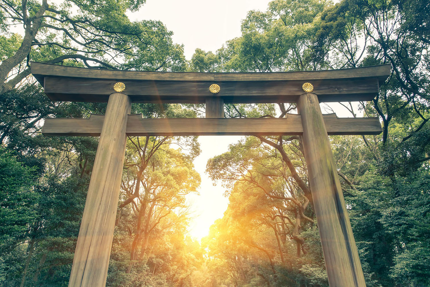 A Shinto Shrine in Japan