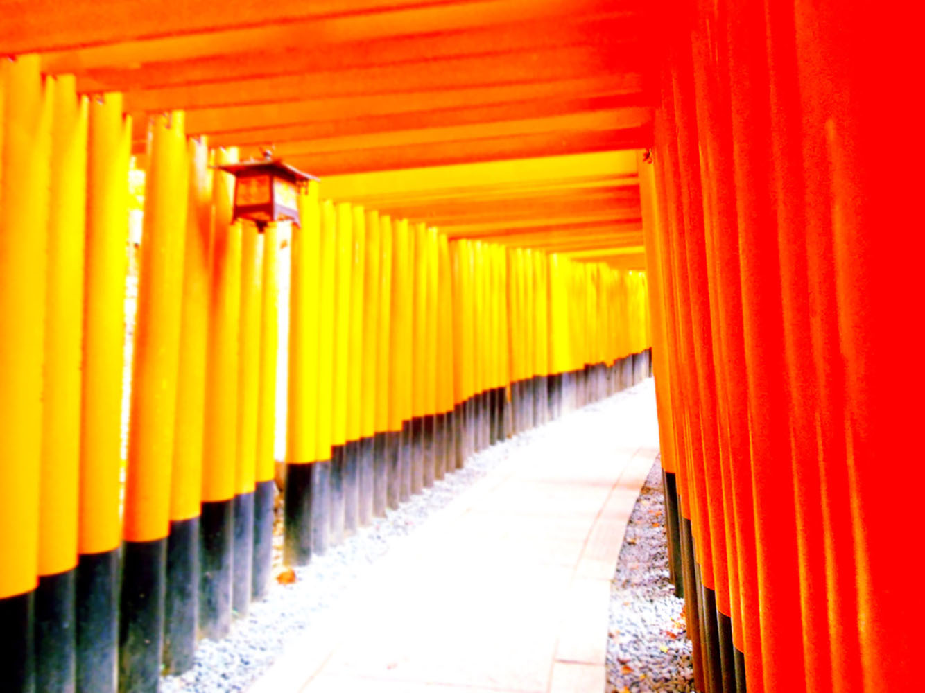 Tori Gates at Fushimi Inari Taisha
