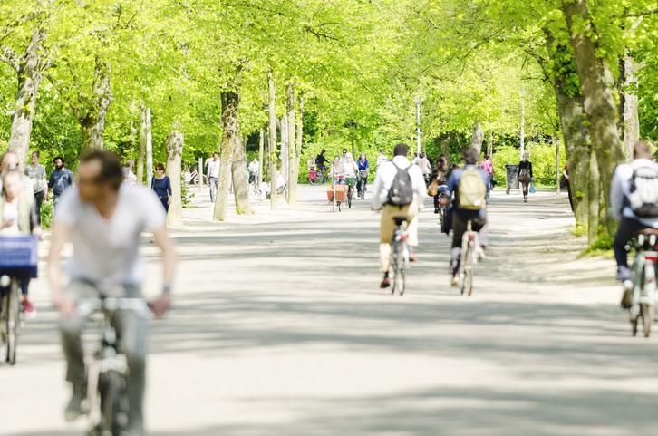 Large group of people are cycling through the Vondelpark in Amsterdam