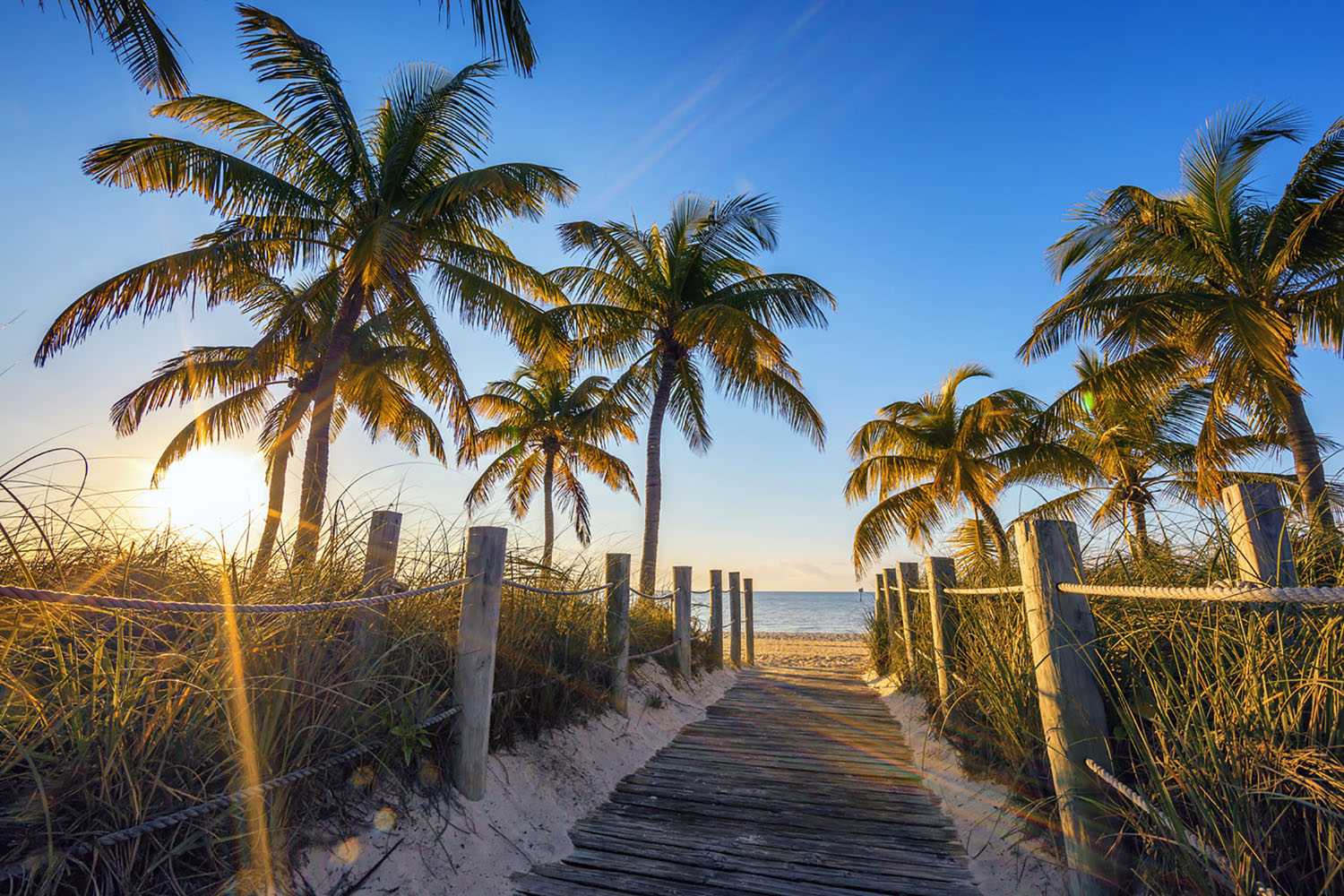 A famous secret passage to the beach in Key West, Florida
