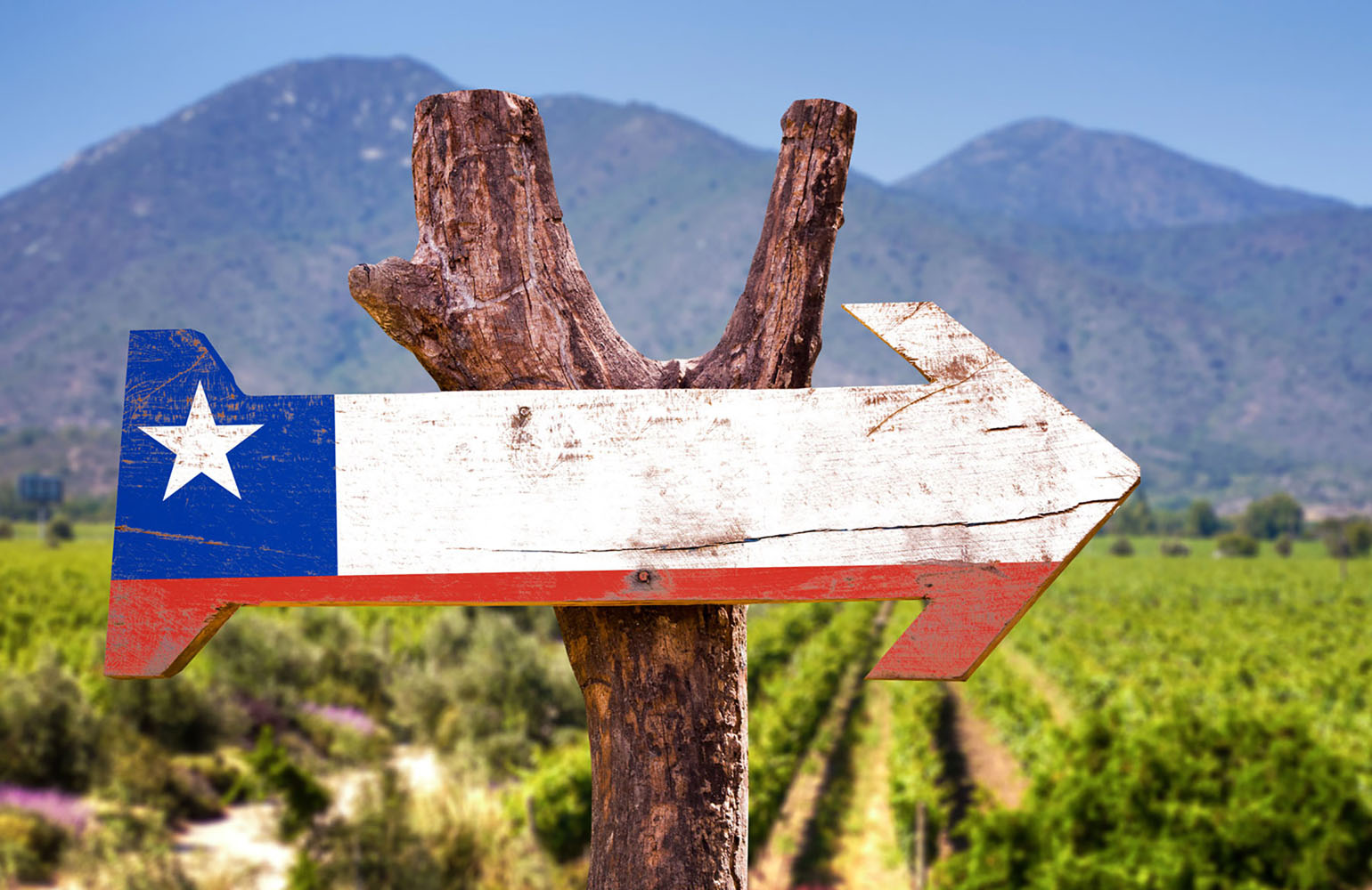 A sign featuring an arrow and the flag of Chile encouraging visitors to explore