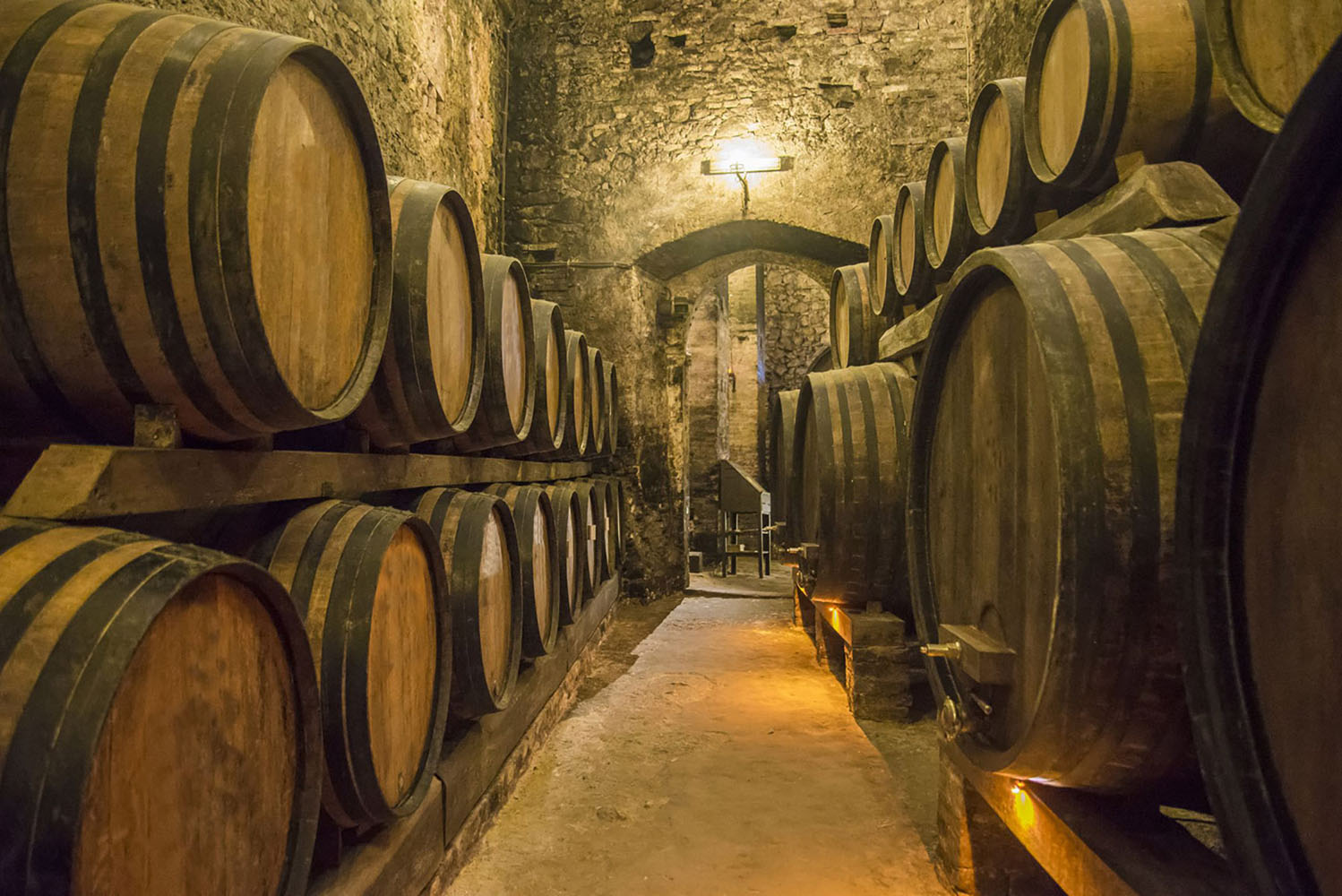 Building basement with wine barrels.