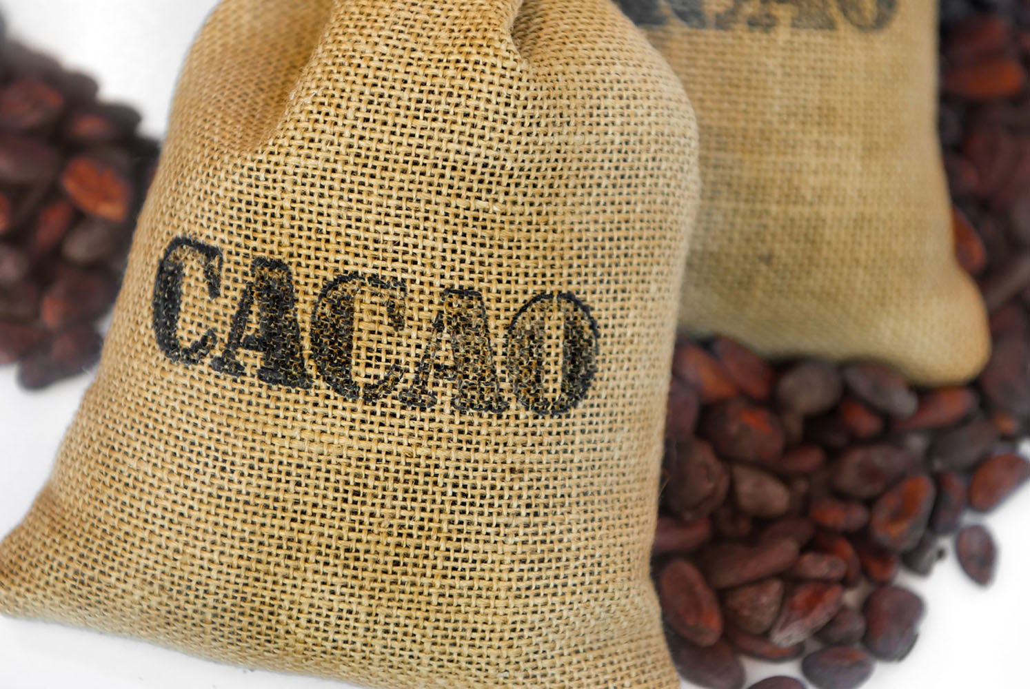 Cacao beans in jut bag with inscription 'cacao'