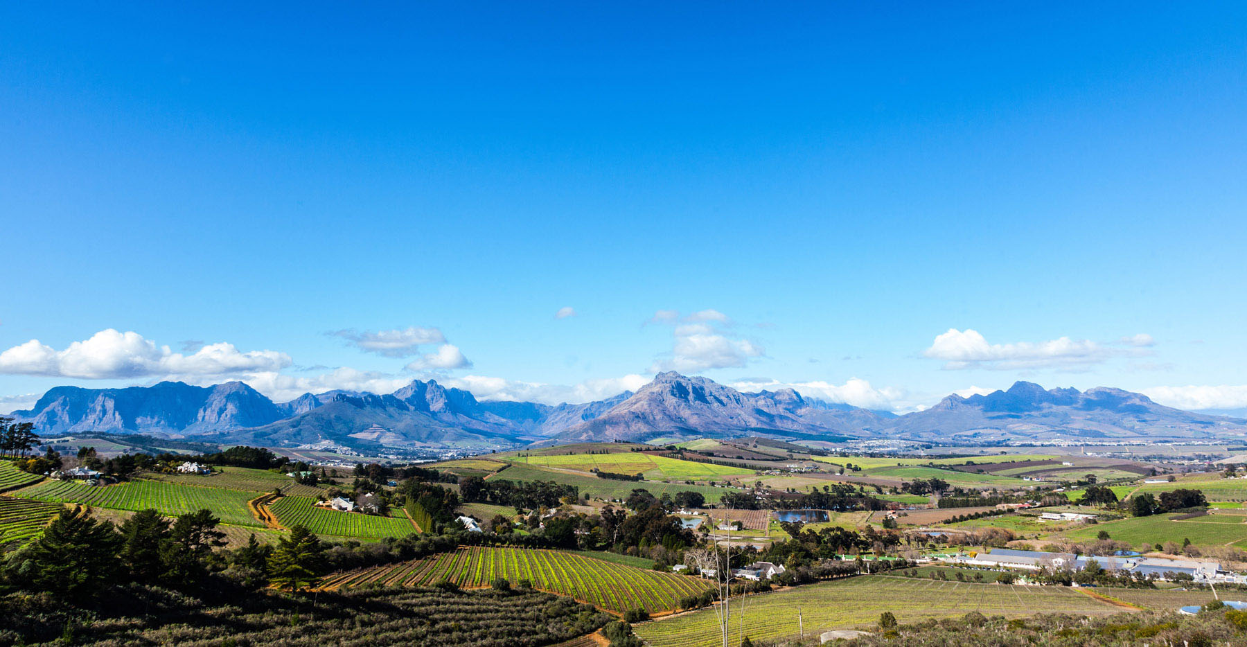 The Stellenbosch region of the Cape Winelands in South Africa.