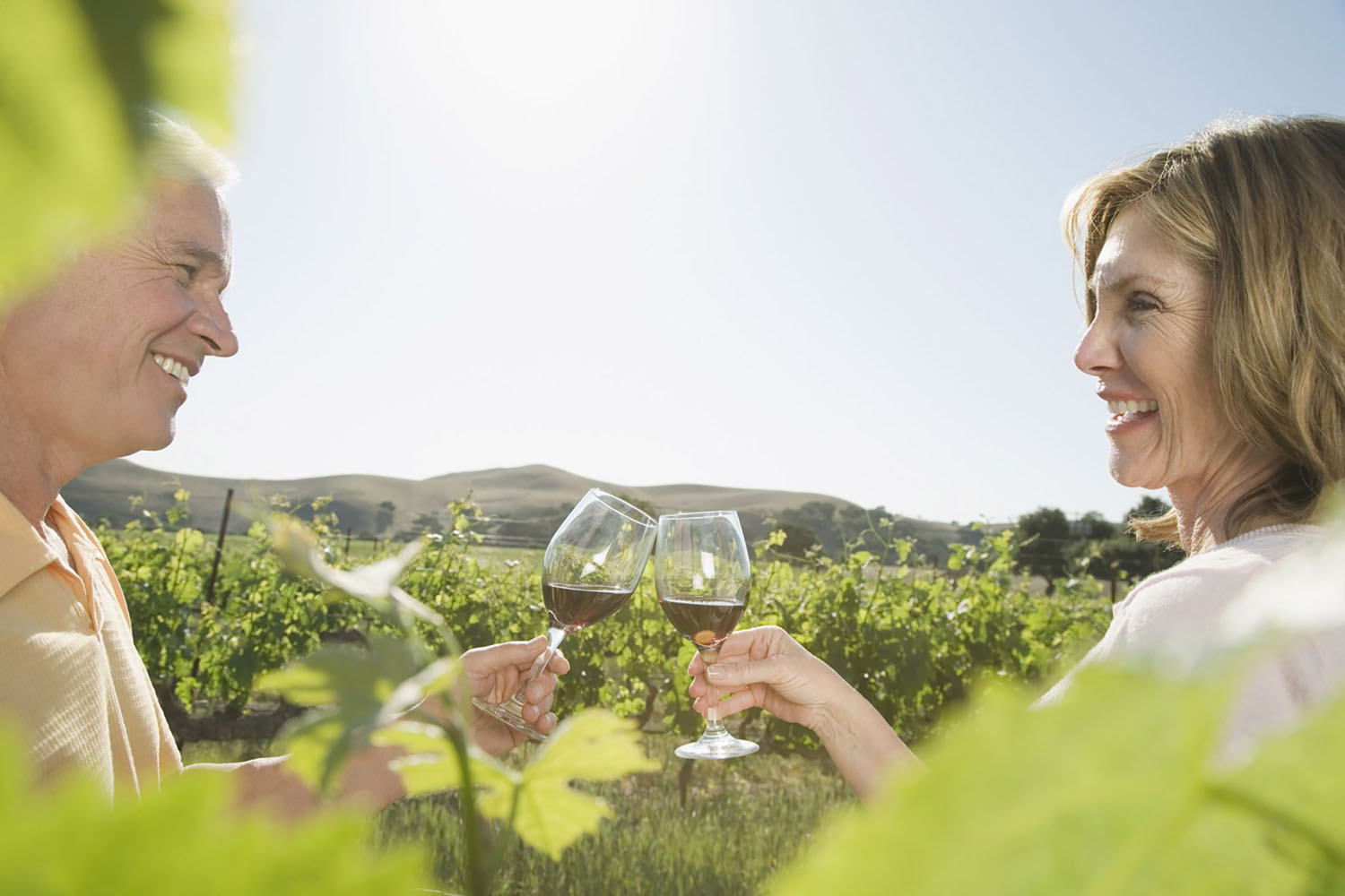 Couple toasting with wine glasses in vineyard