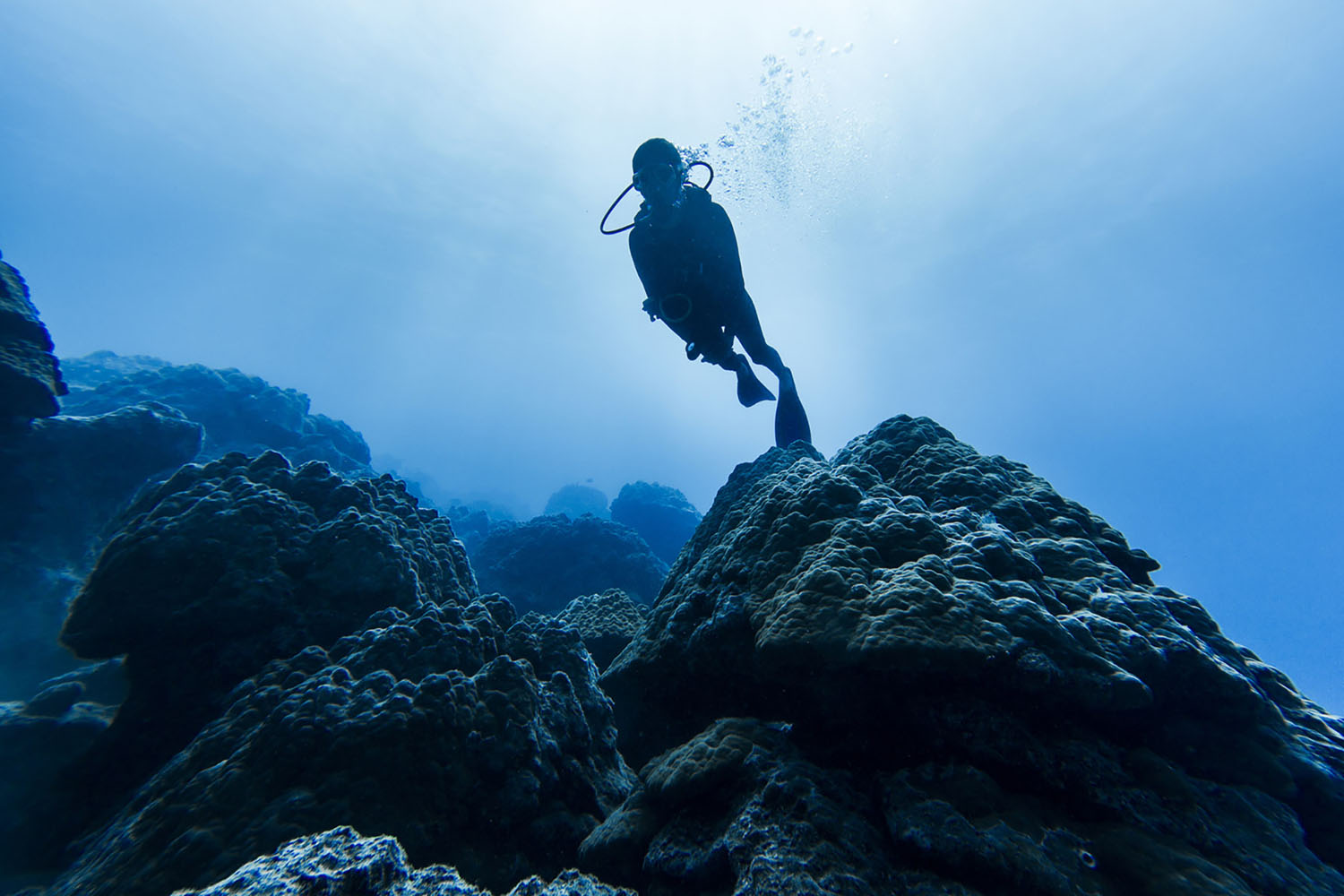 A scuba diver swims in the waters of Bora Bora