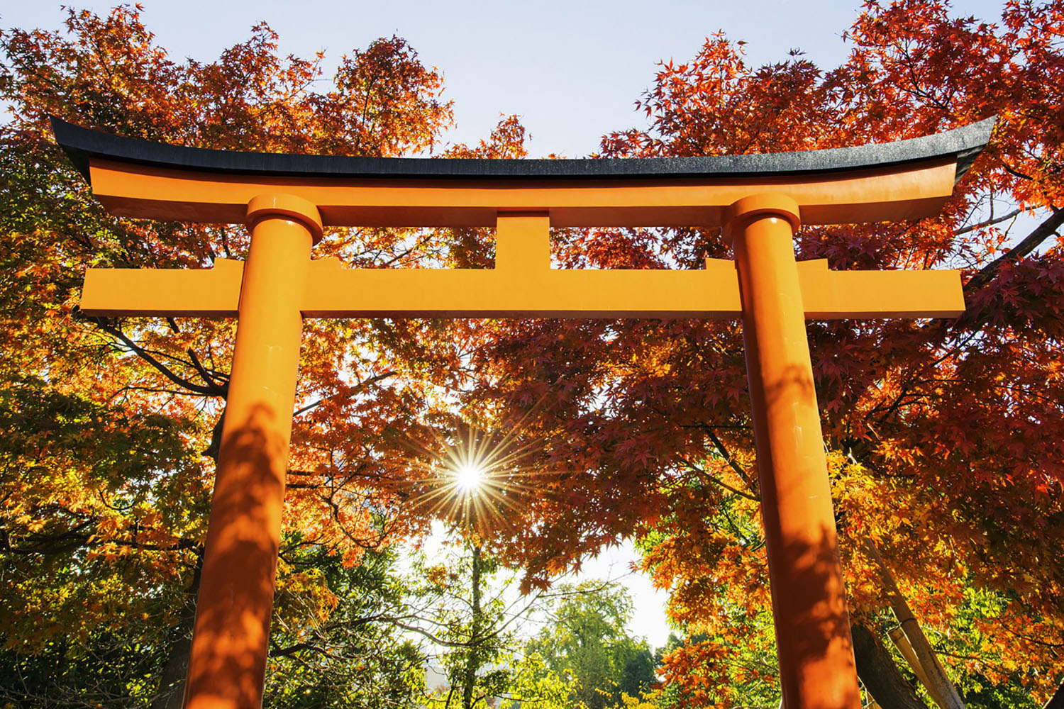 Red Torii Gate in Japan