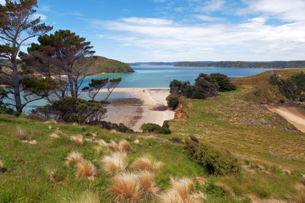 View of Native Island from Stewart Island, Wohlers monument lookout, New Zealand