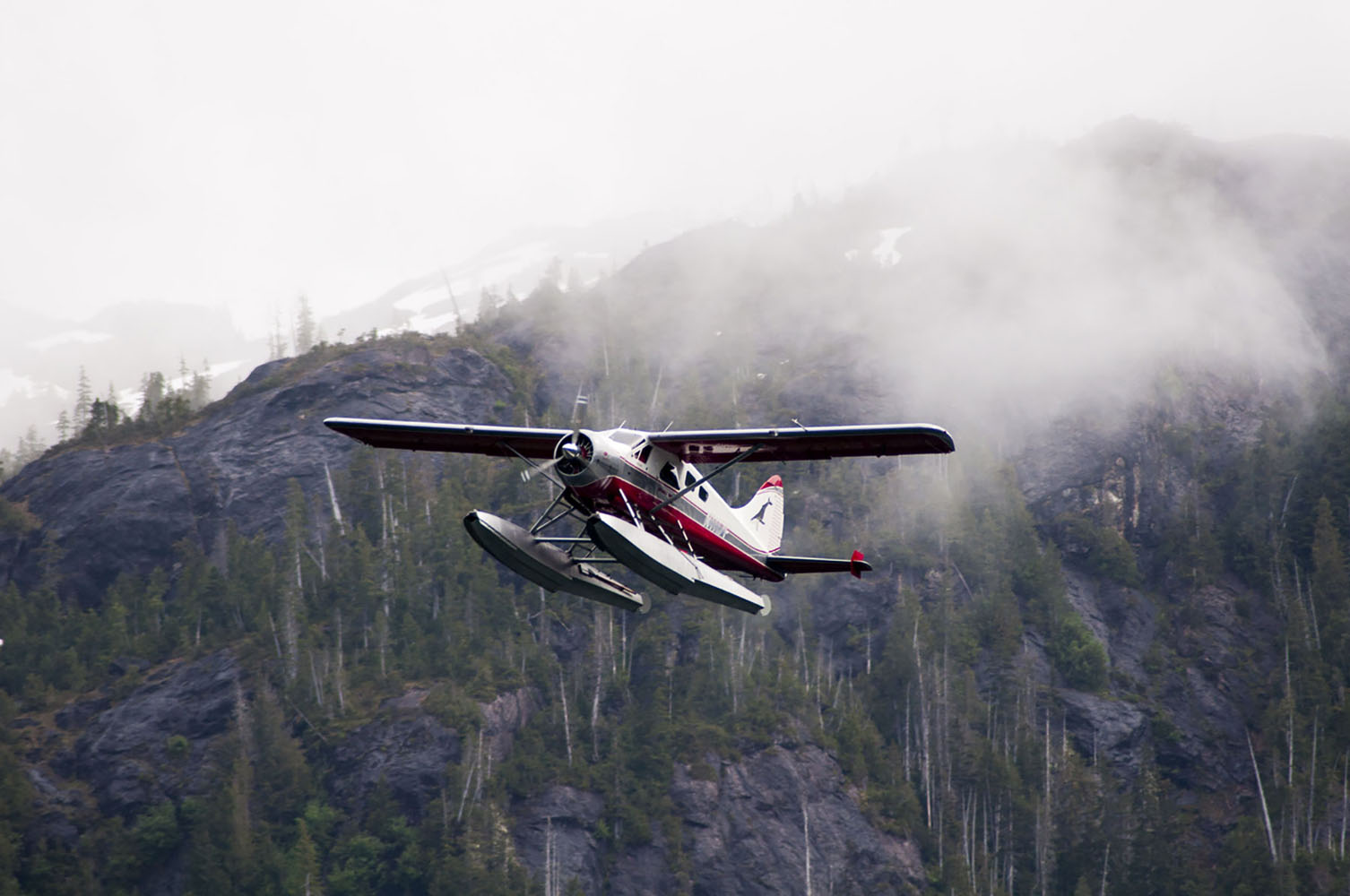 A flight-seeing floatplane in Misty Fjords, Alaska