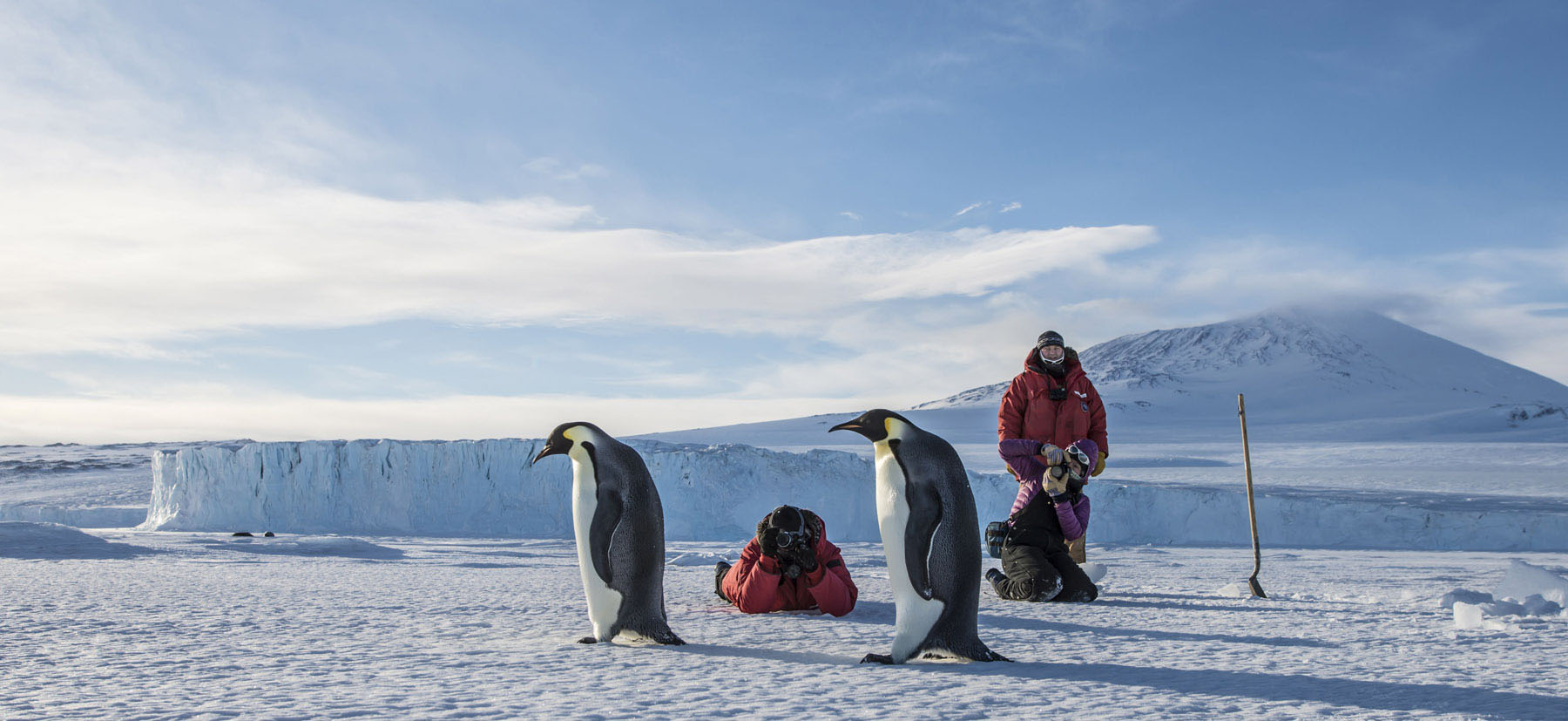 Photographers snap images of penguins in Antarctica.