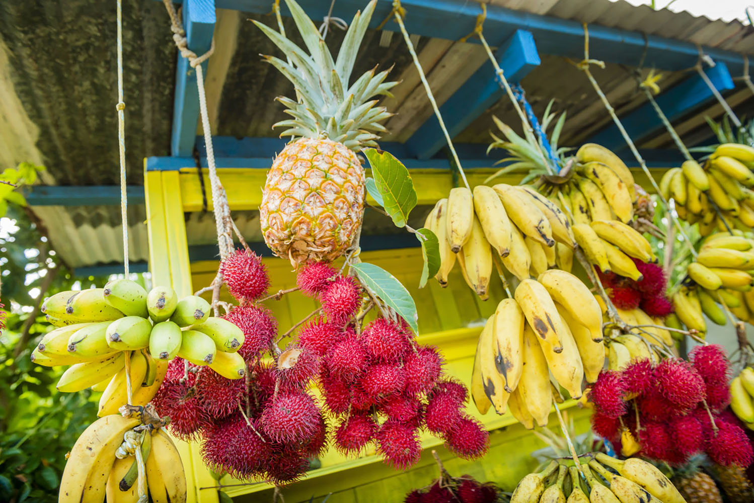 Fruits such as bananas and pineapples for sale in Hilo Farmers Market
