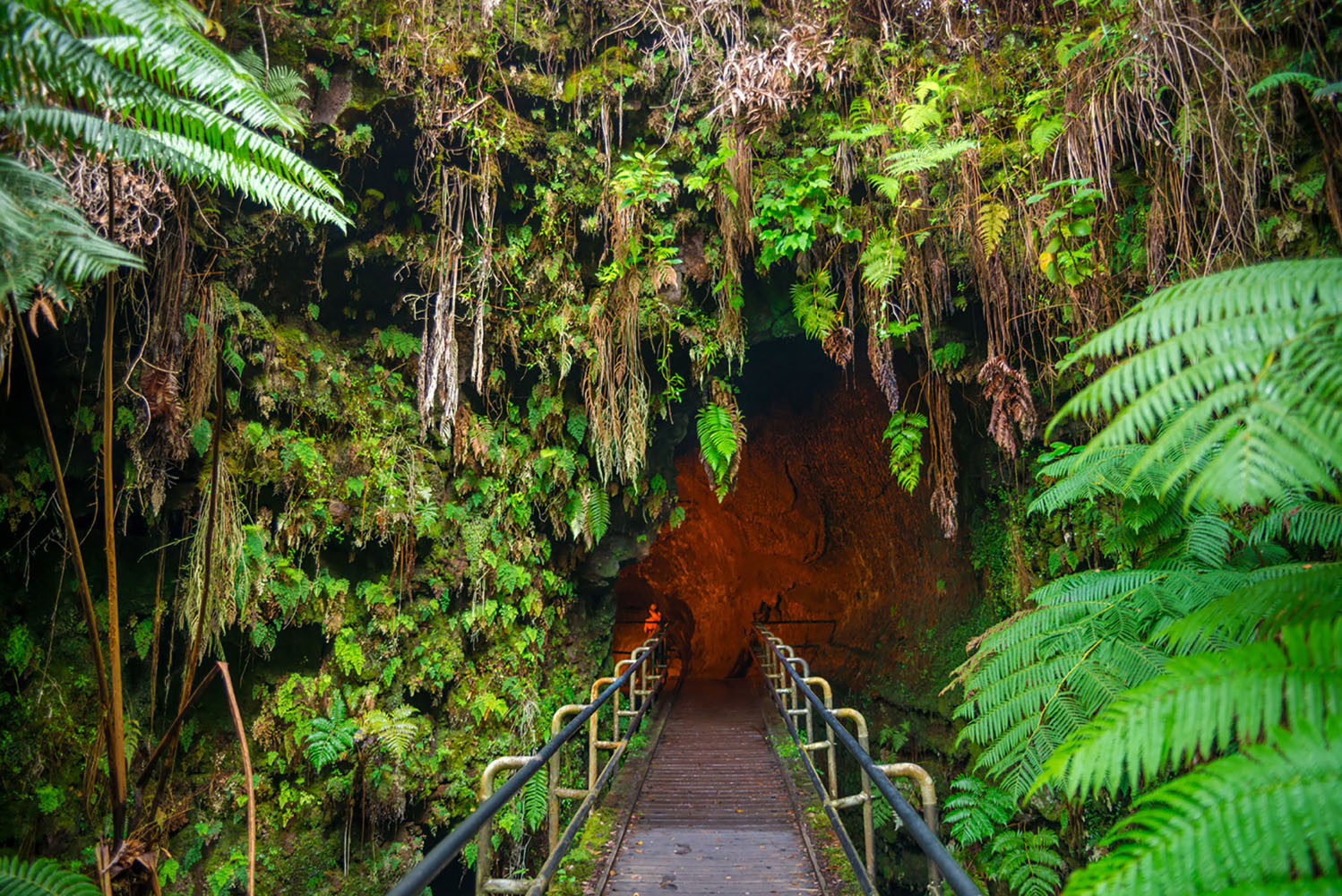 A path leading toward the Thurston Lava Tube in Hawaii Volcanoes National Park