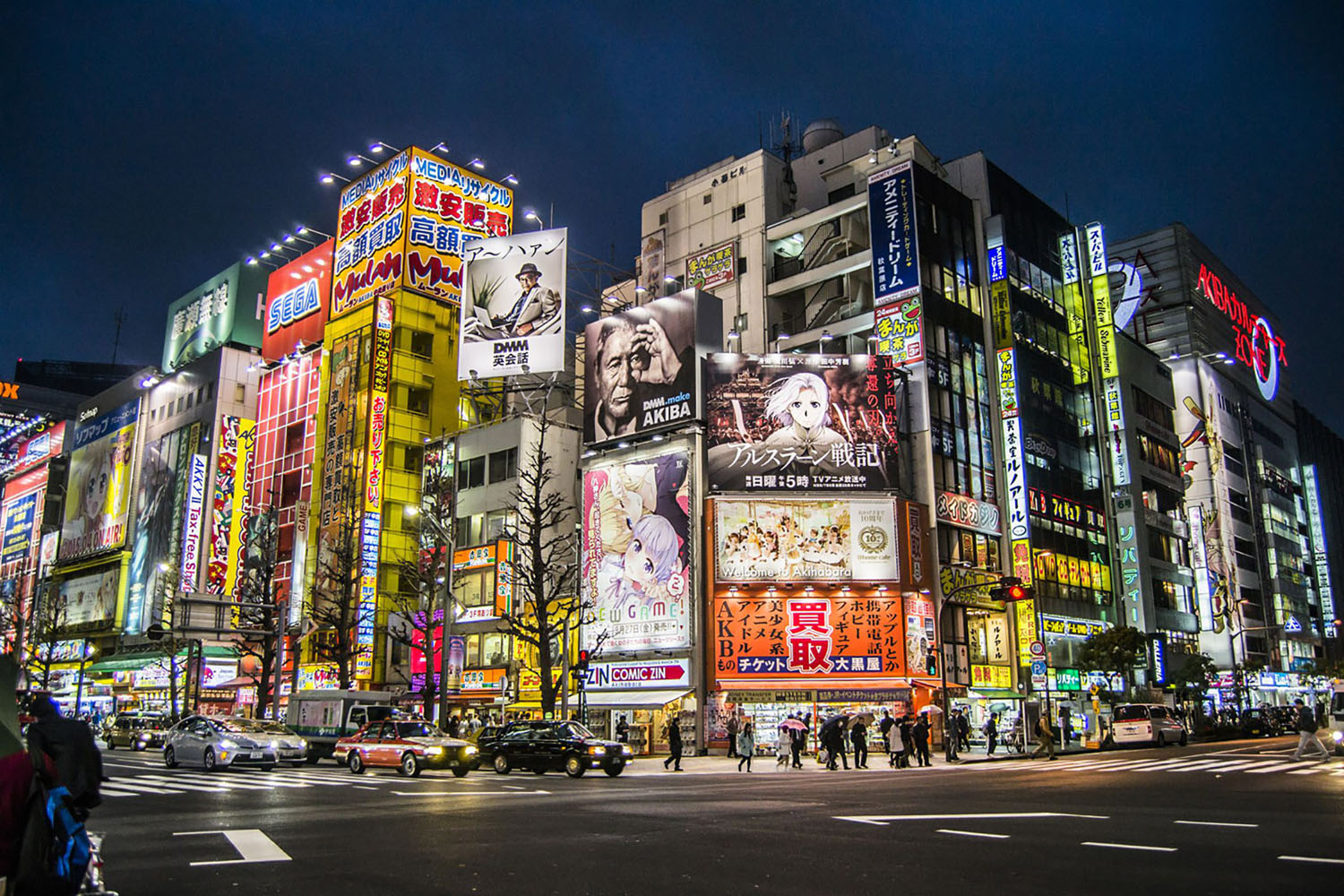 Akihabara Electric Town at night