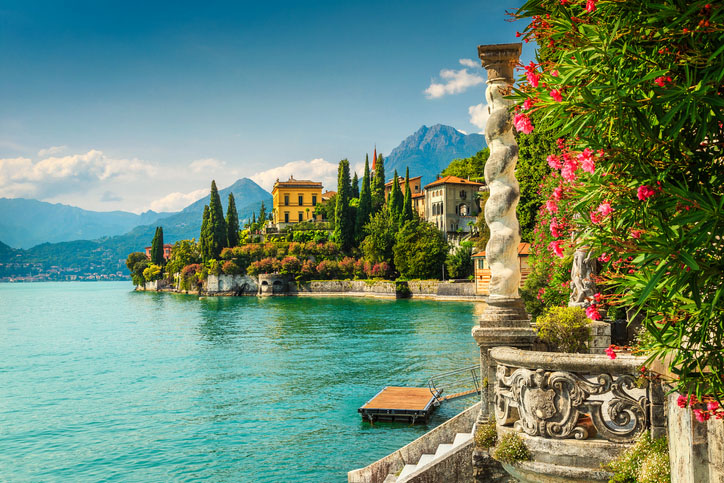 Mediterranean oleander flowers near Lake Como in Italy