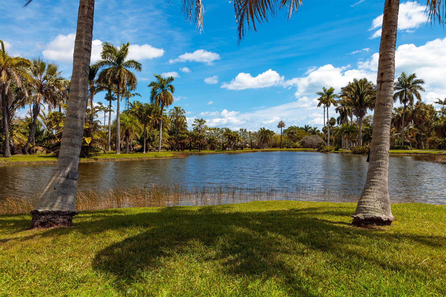 Fairchild Tropical Botanic Garden in Miami, Florida