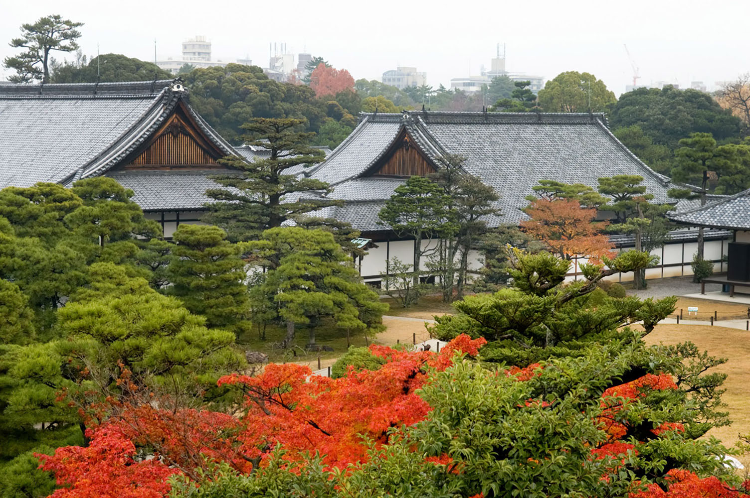 Nijo Castle in the fall with colorful leaves in the foreground