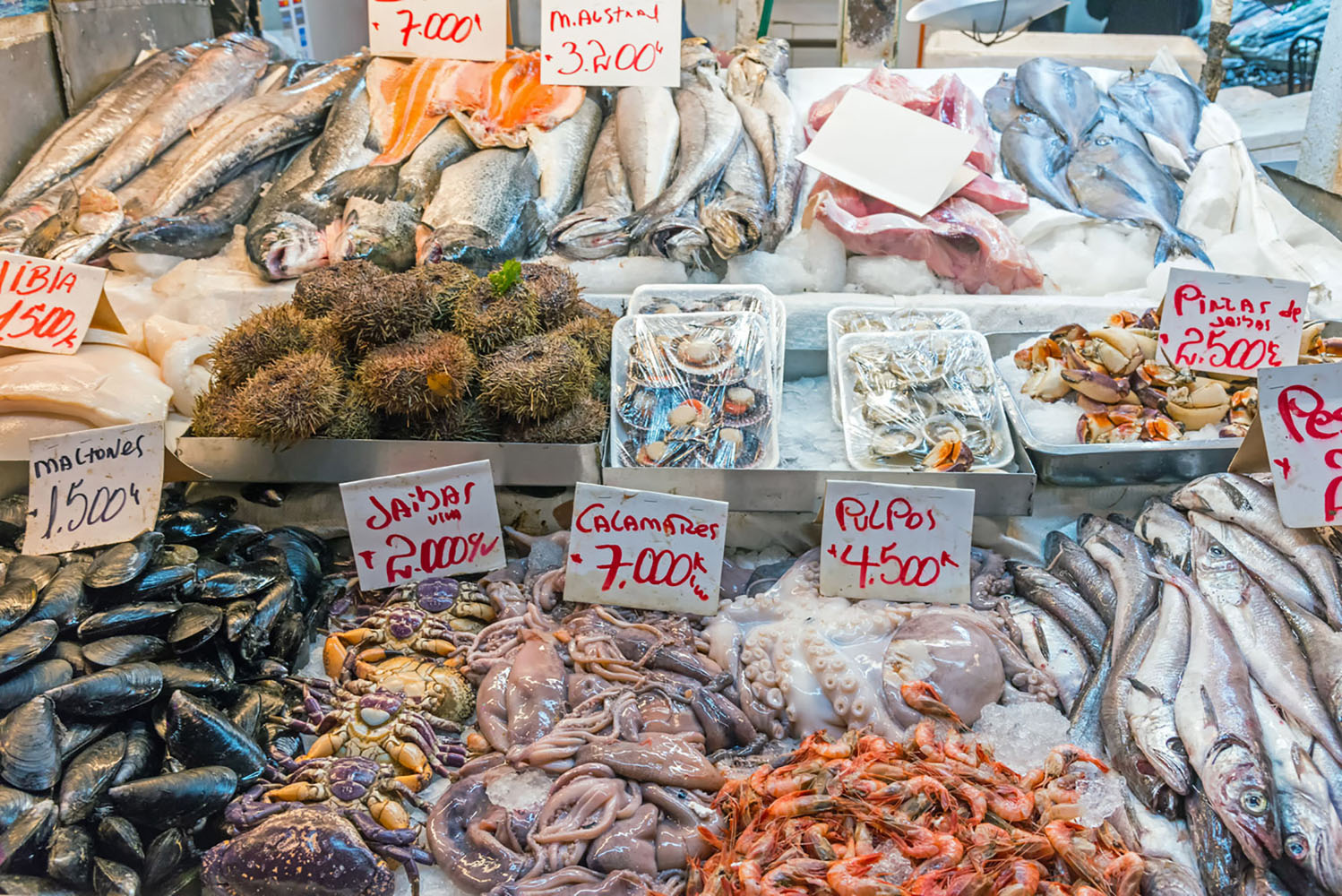 An assortment of local seafood available at a market in Santiago, Chile