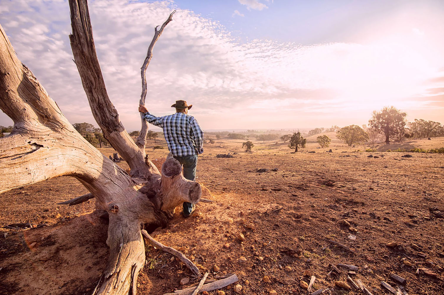 Australian man looks into the Outback on a warm day