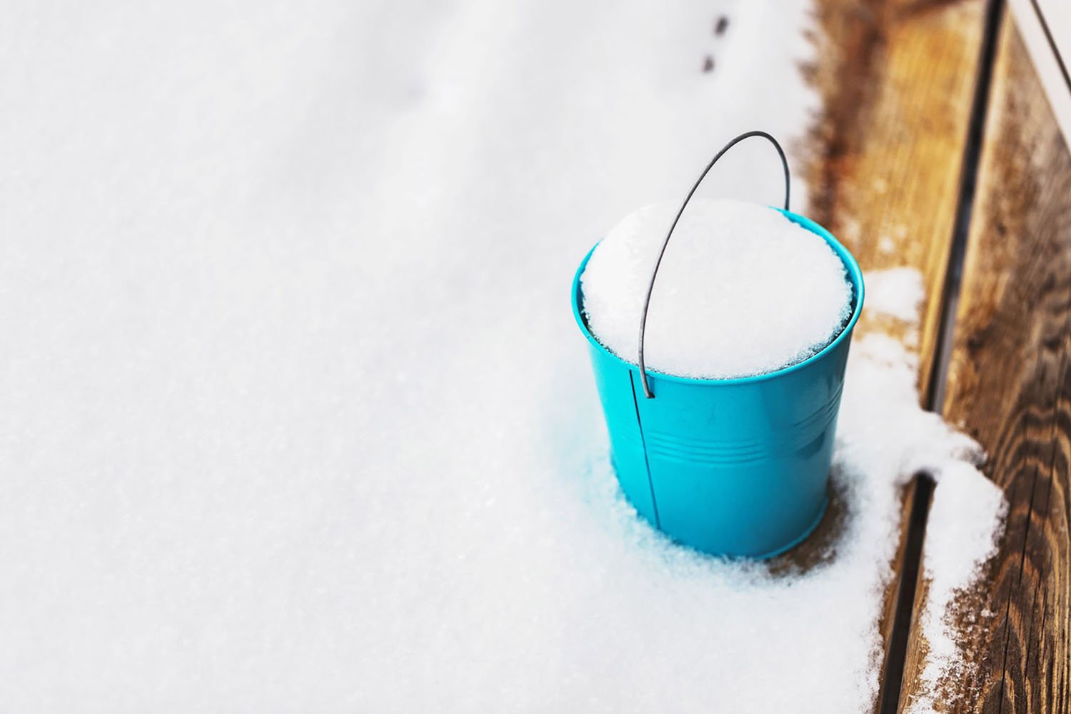 Preparing a bucket of snow to make Akutaq in Alaska