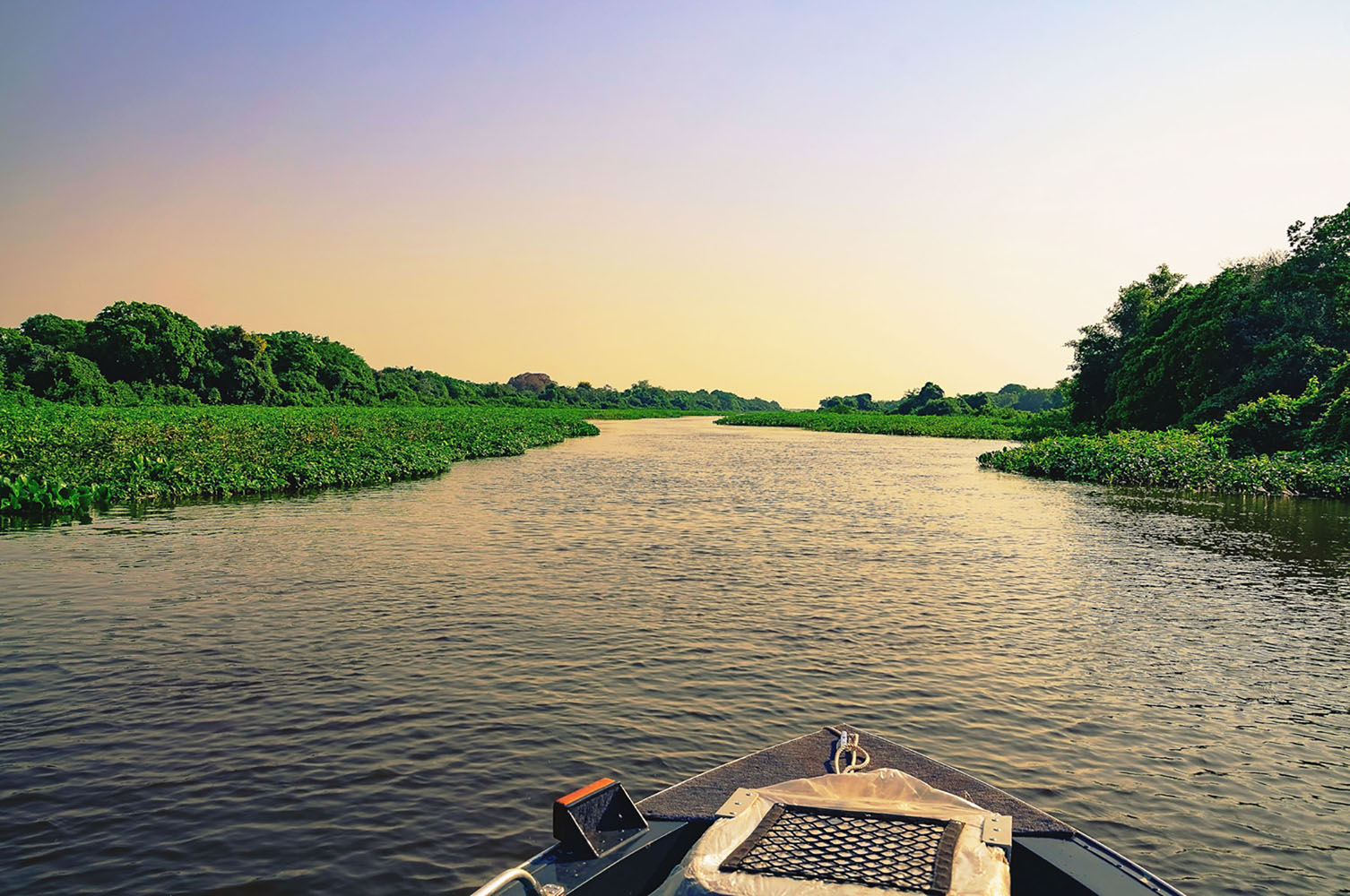 A boat navigating through the waters of Pantanal at sunset