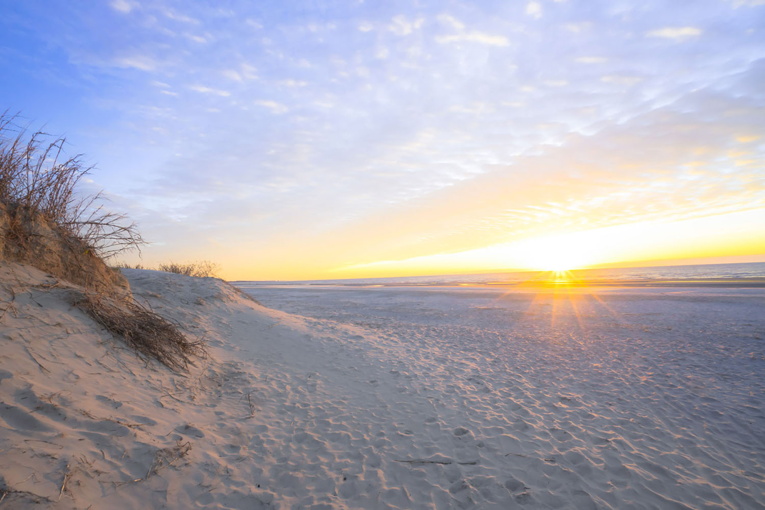 A sandy beach on a sunny day in Charleston, South Carolina