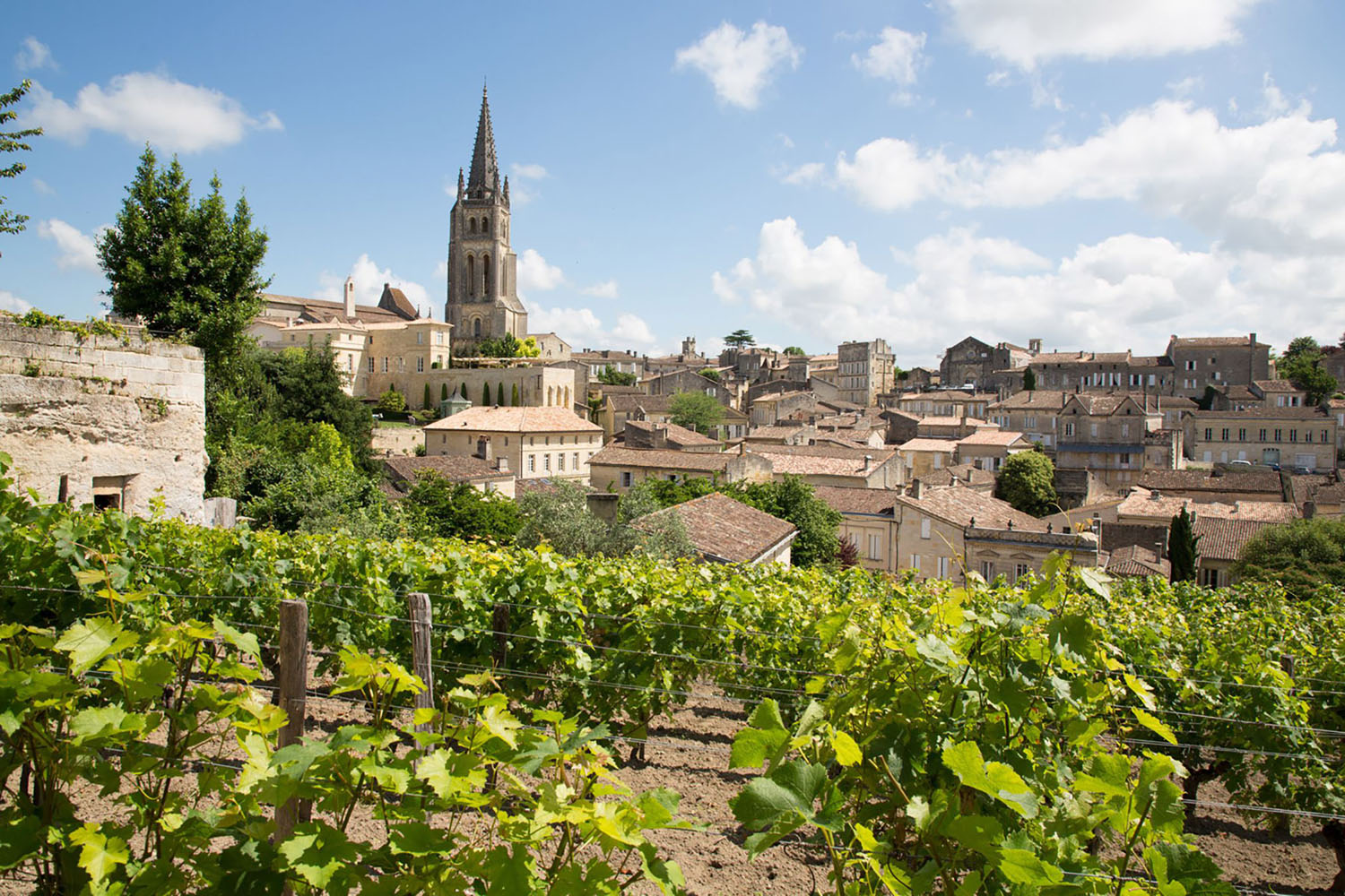 The landscape of Saint Emilion village in the Bordeaux region in France