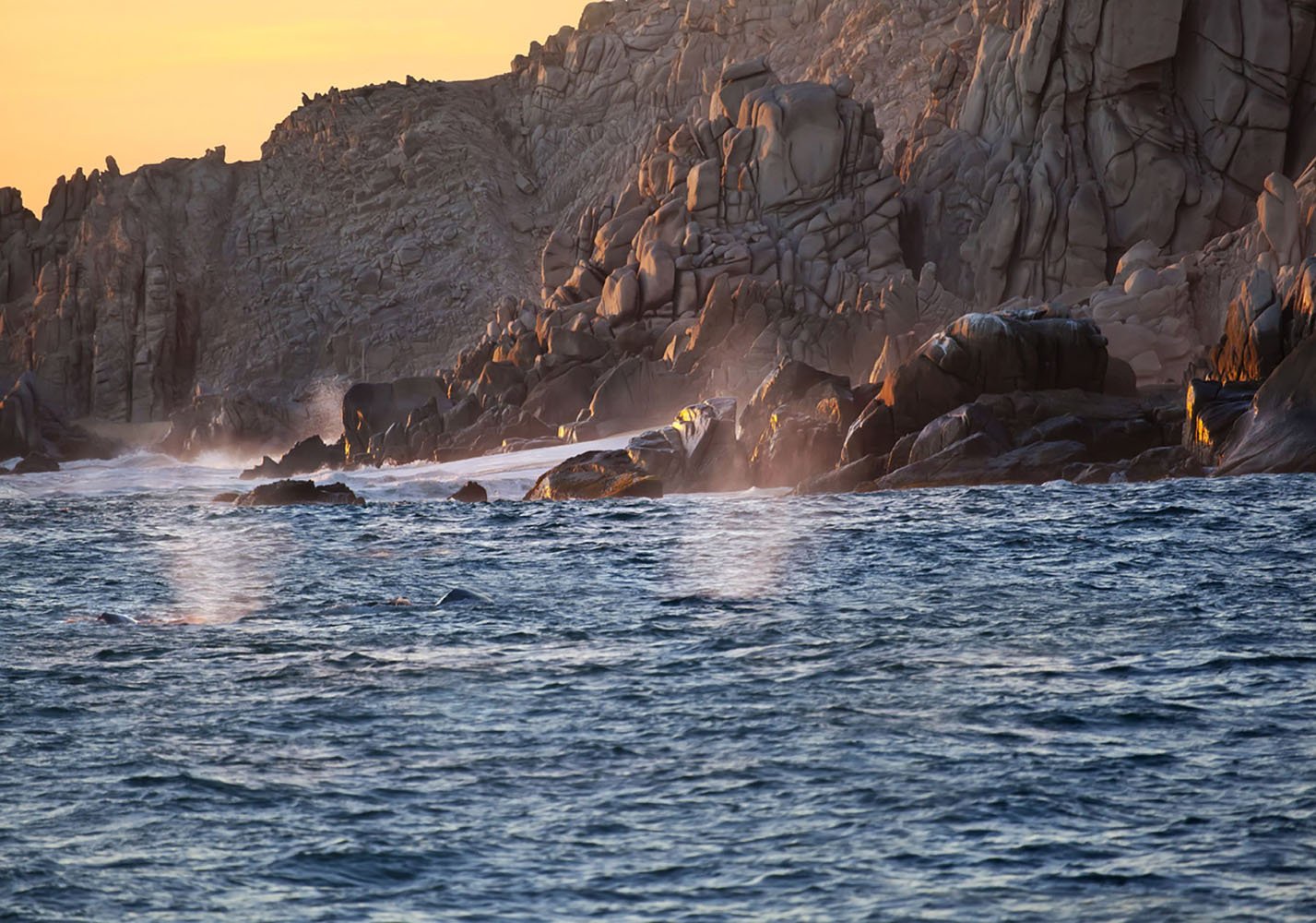 Go fishing or whale watching in Cabo San Lucas, Mexico and take in the beautiful coastal scenery.