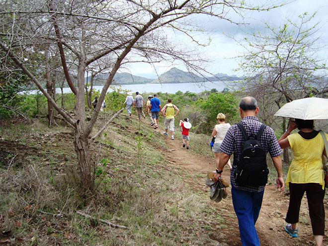 Pathway