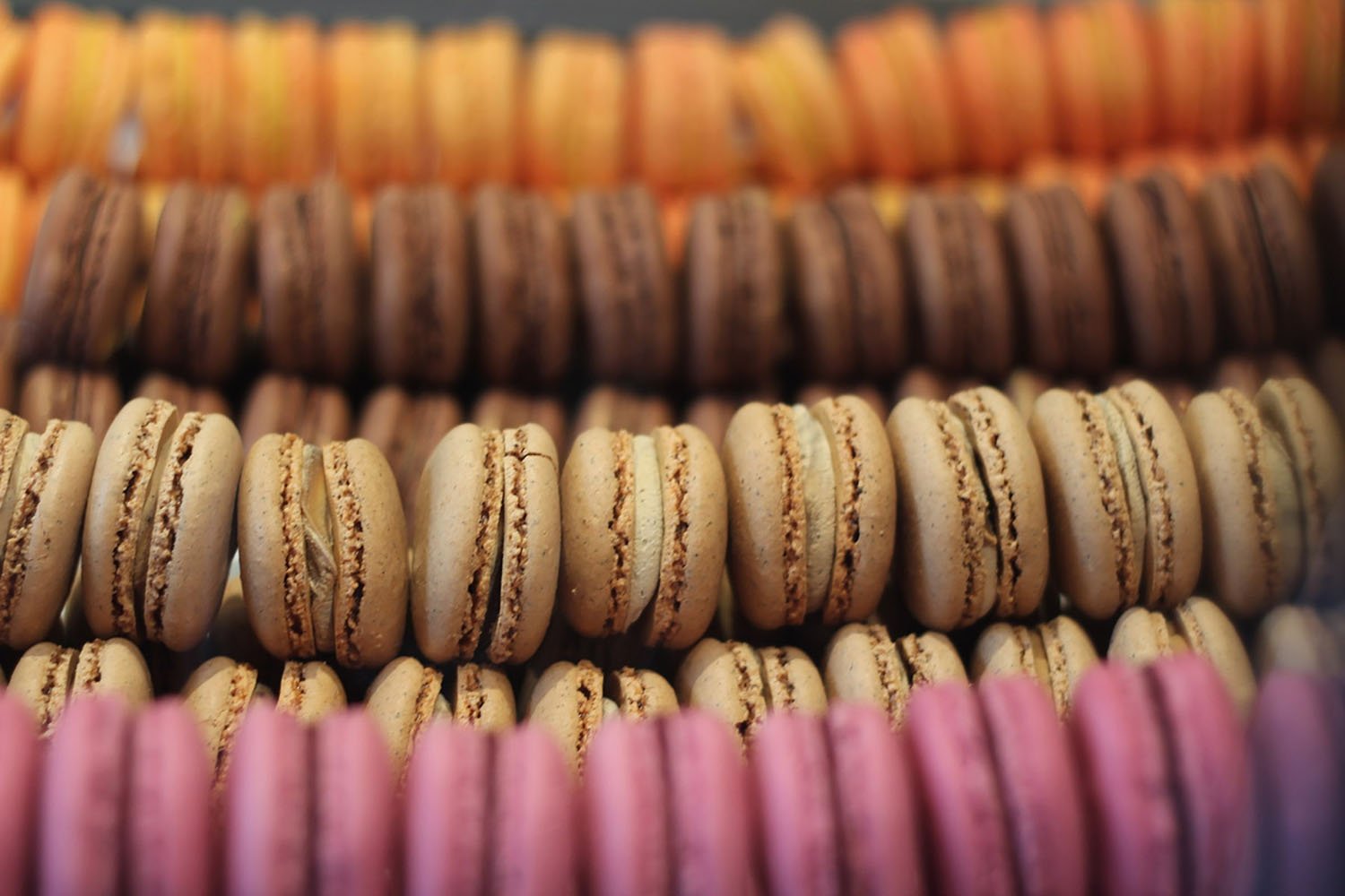 French macarons in colourful rows