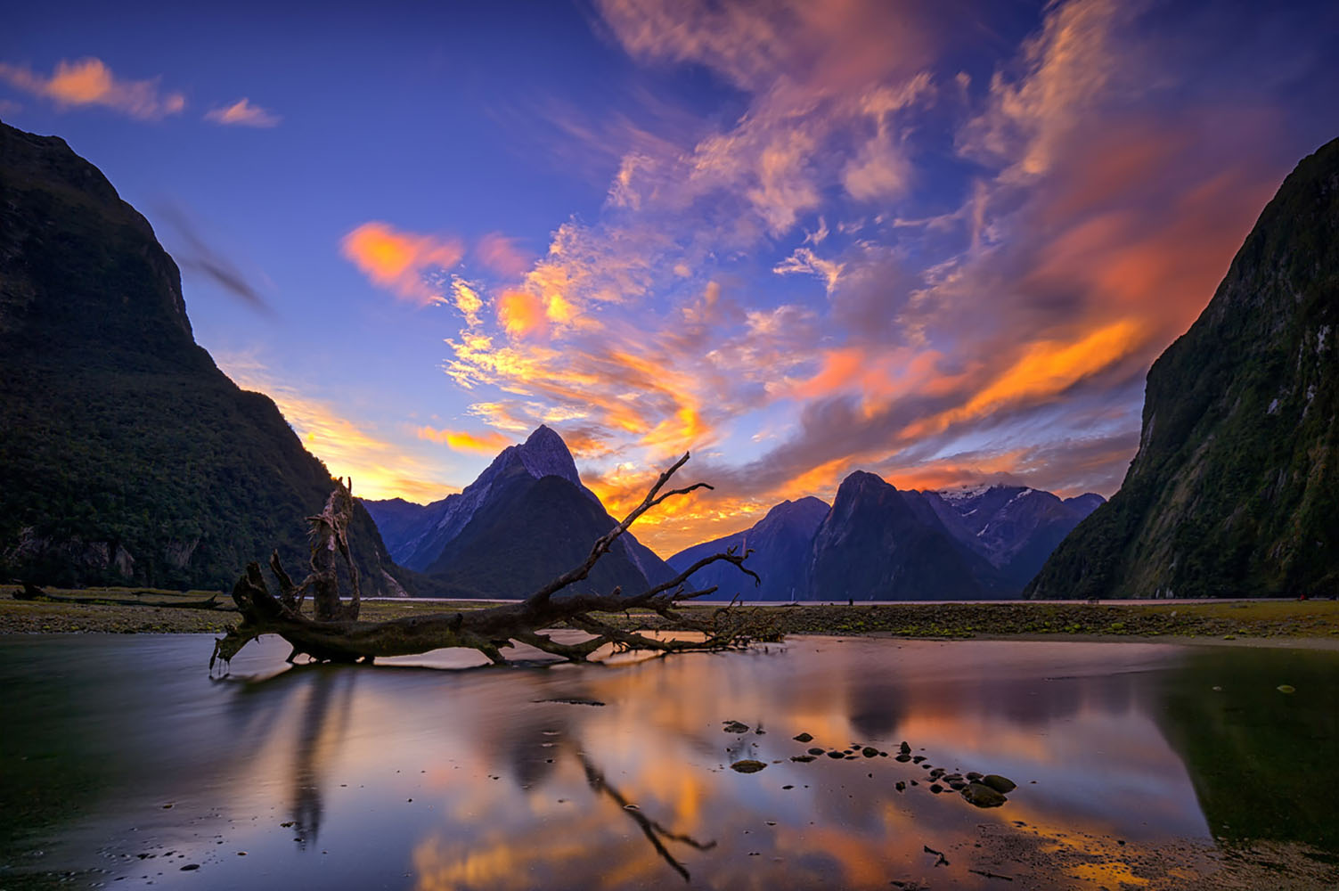Milford Sounds, New Zealand is one of the most beautiful destinations in the world.