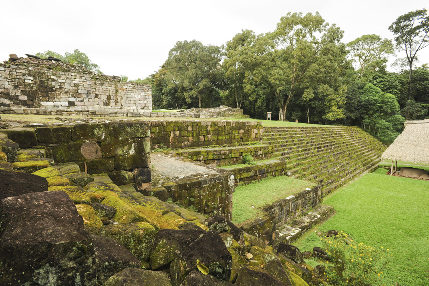 When calling on Santo Tomas de Castilla, Guatemala, you can visit the nearby Mayan ruins of Quiriguá.