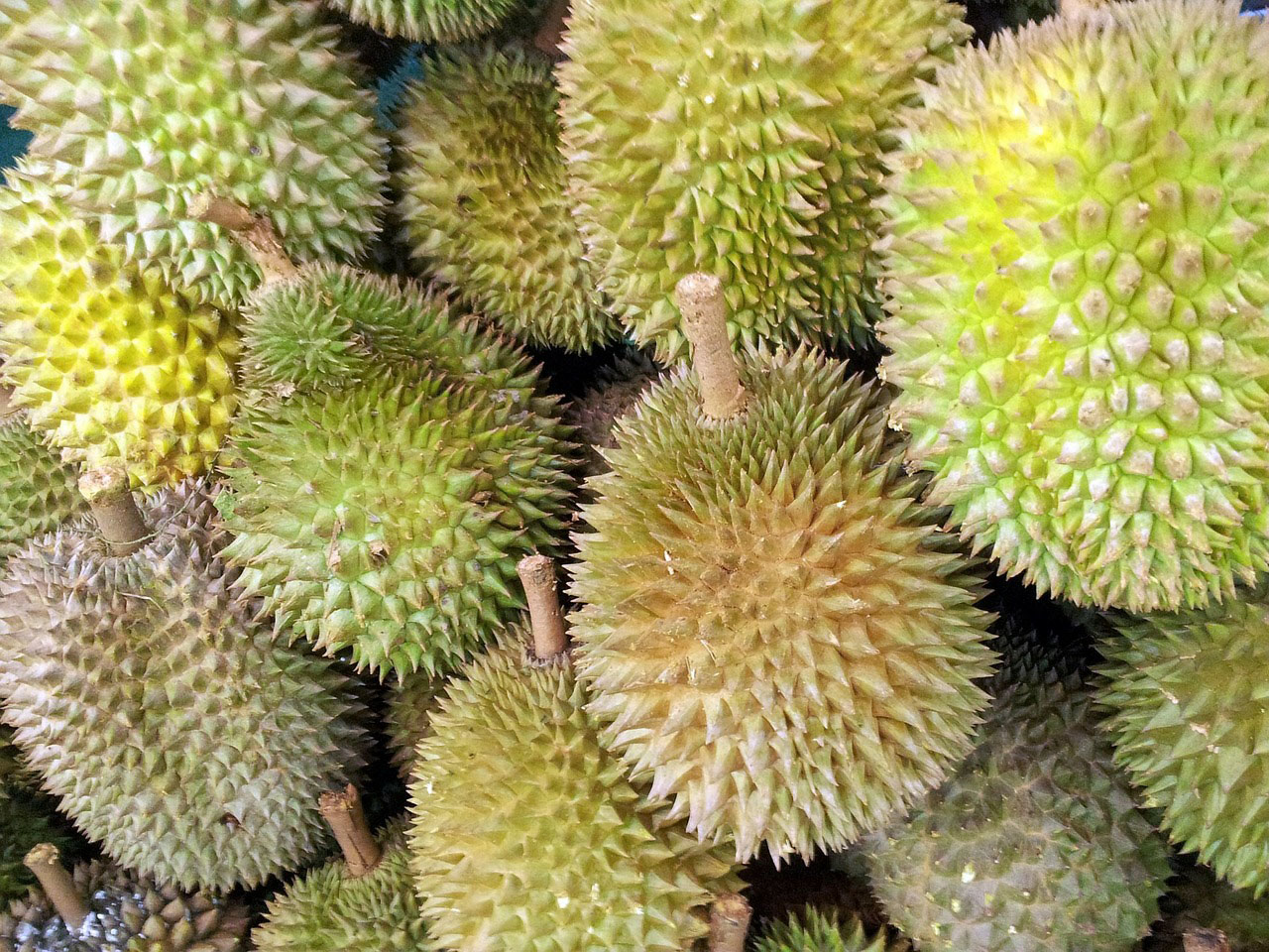 Pile of durian fruit