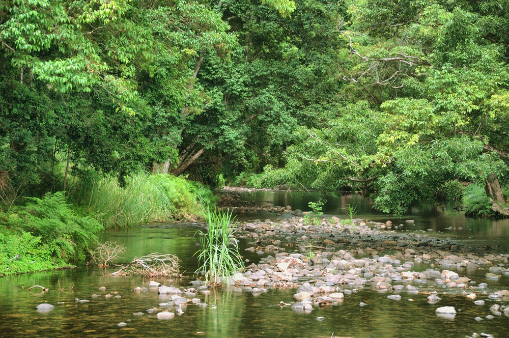 cairns Photo